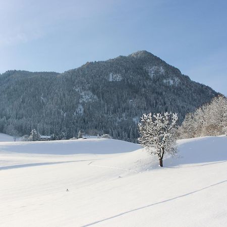 Ferienhaus Weber-Haeusl Reith im Alpbachtal Exterior photo
